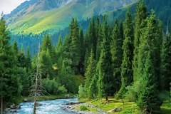 曼城瓜帅创纪录，控球率纪念穆里尼奥